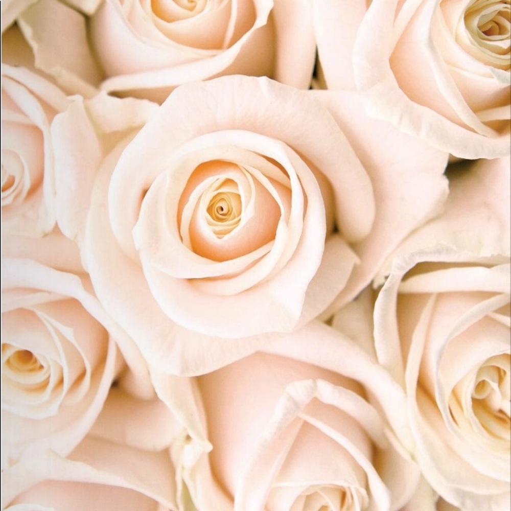 Meet your Posher, Elizabeth